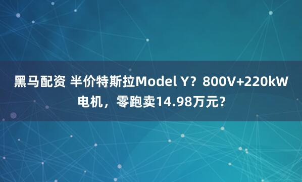 黑马配资 半价特斯拉Model Y？800V+220kW电机，零跑卖14.98万元？