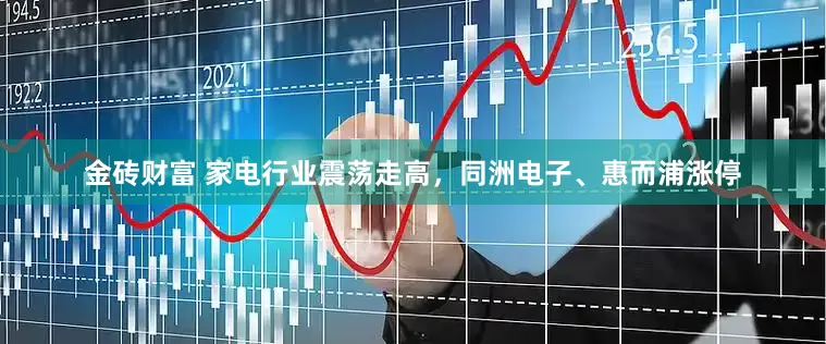 金砖财富 家电行业震荡走高，同洲电子、惠而浦涨停