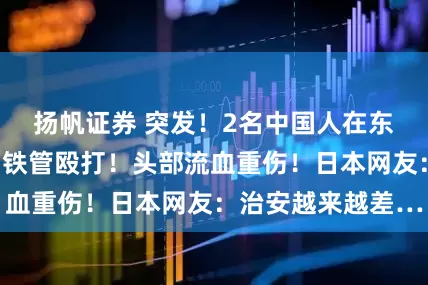 扬帆证券 突发！2名中国人在东京街头遭4人用铁管殴打！头部流血重伤！日本网友：治安越来越差…