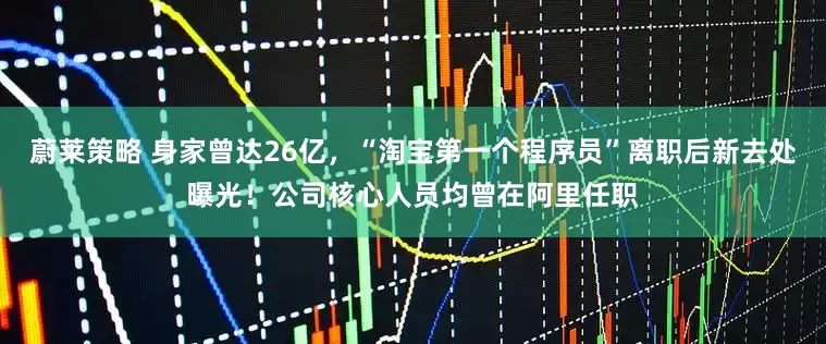 蔚莱策略 身家曾达26亿，“淘宝第一个程序员”离职后新去处曝光！公司核心人员均曾在阿里任职